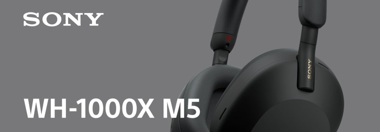 Are the Sony WF-1000XM5 Worth It? A Comprehensive 2024 Review